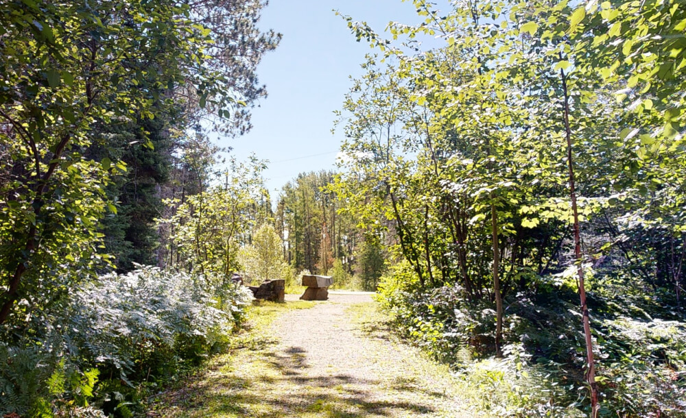 Wellstone Memorial Site