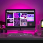 Fuchsia backdrop-website design images on laptop