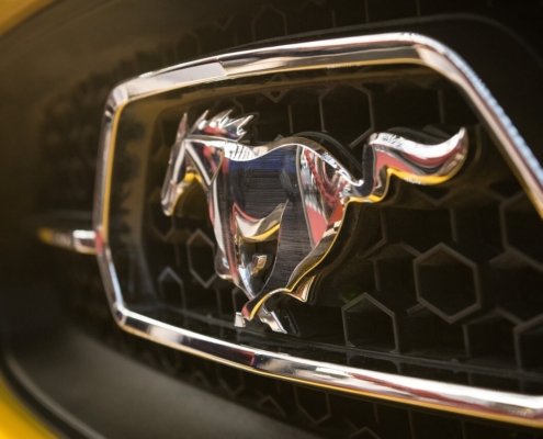 Brand identity- Ford Mustang logo-