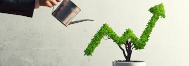 Business Growth with strategy