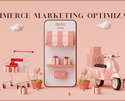 E-Commerce Marketing Optimization