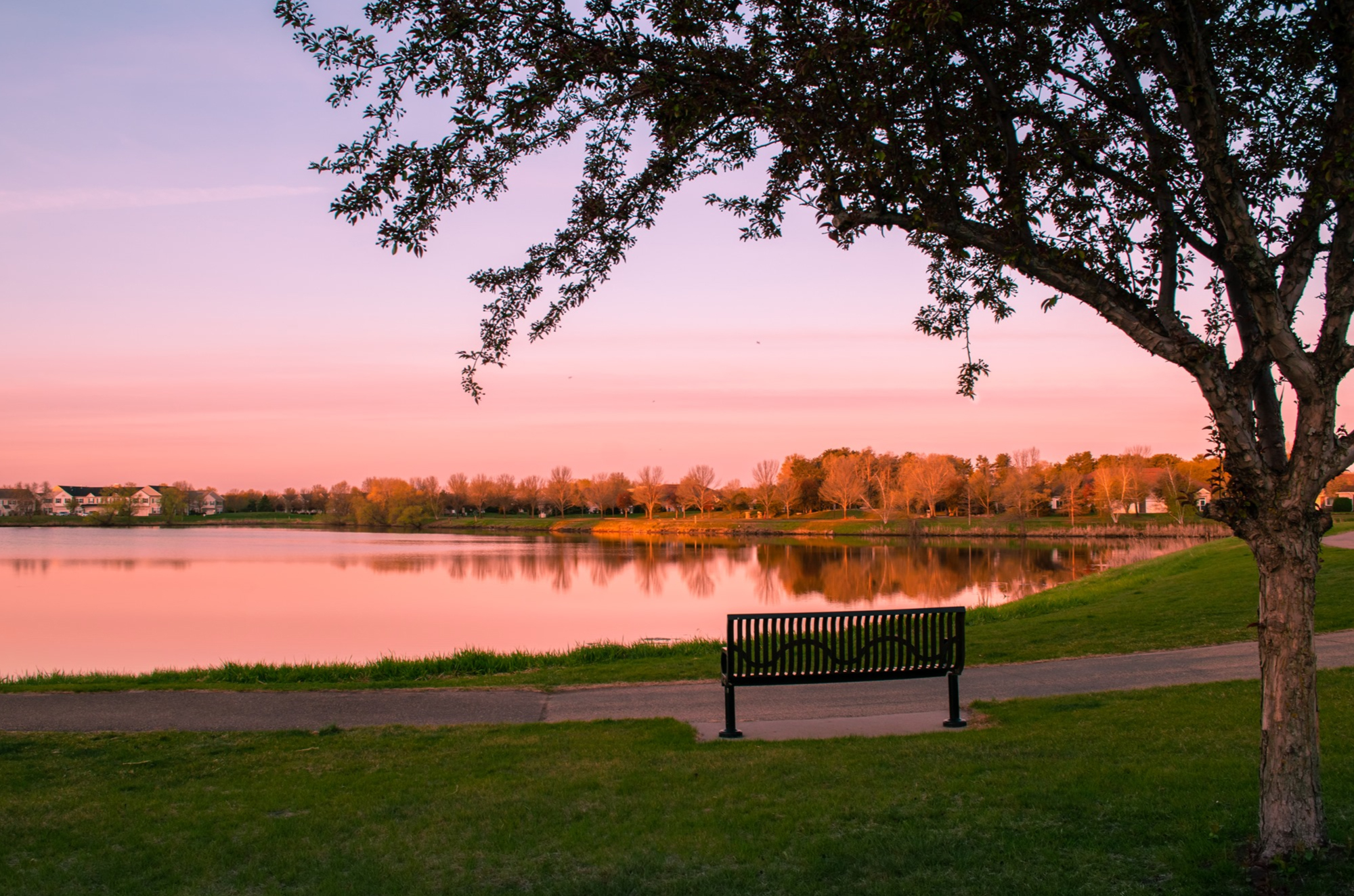 Cities We Service Digital Marketing for Blaine, MN