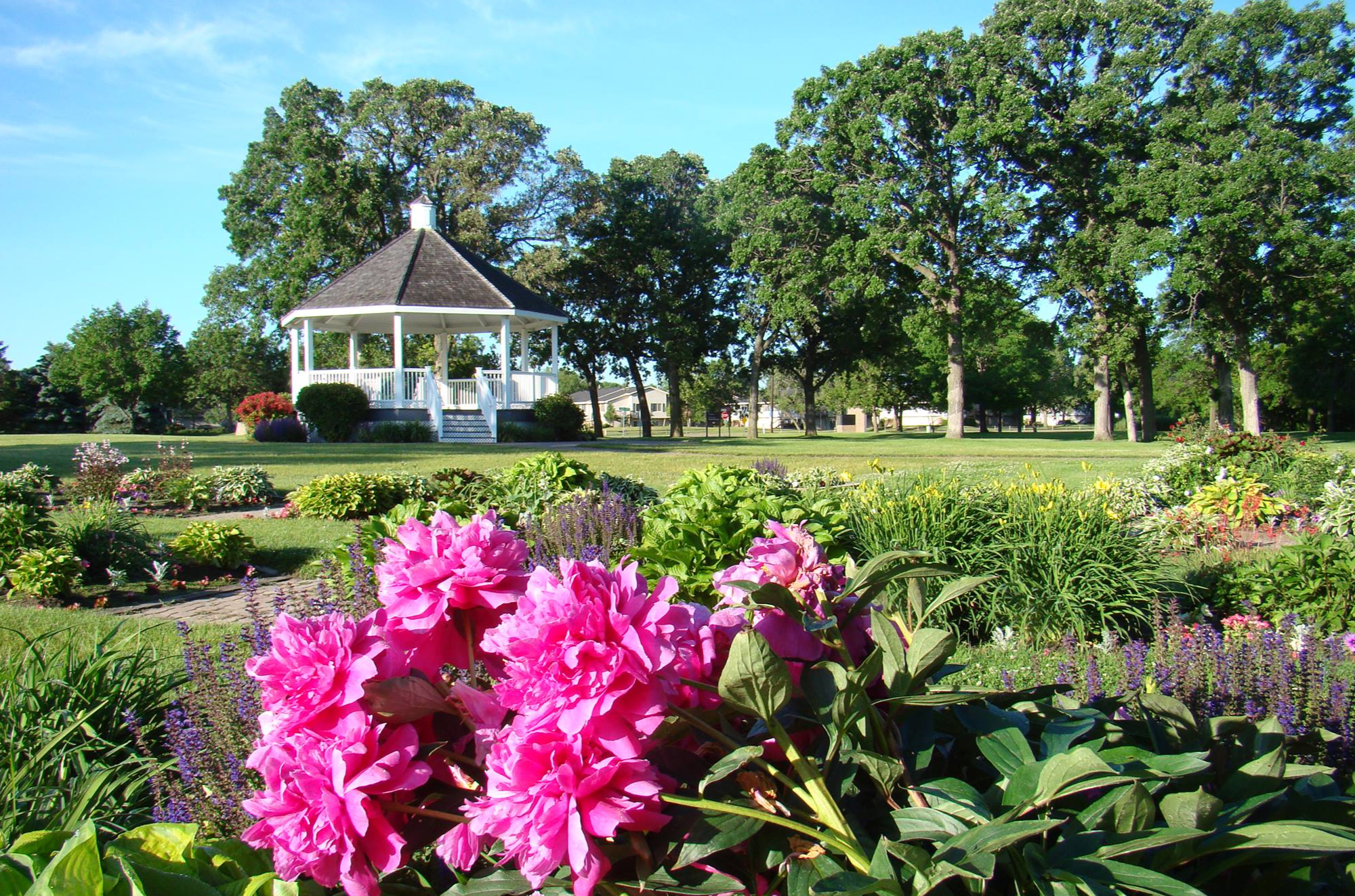 Cities We Service Digital Marketing for Brooklyn Park, MN