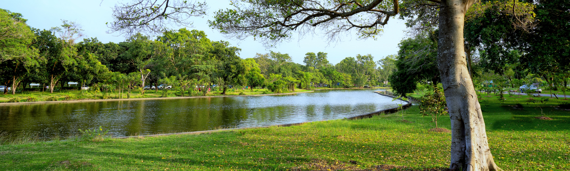 Cities We Service Digital Marketing for Dayton, MN