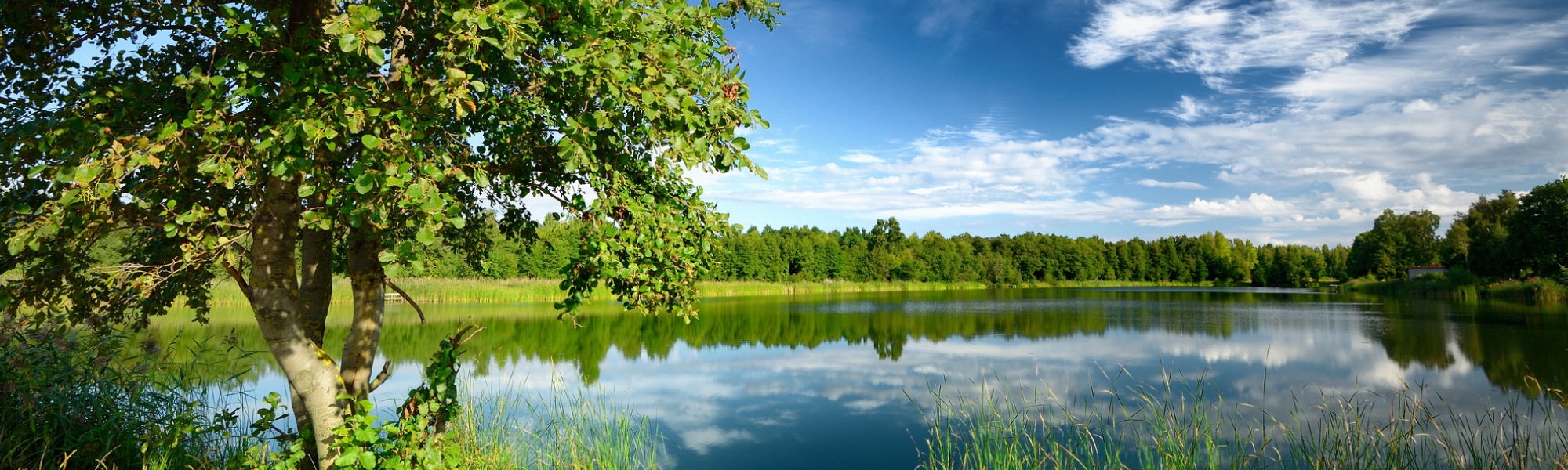 Cities We Service Digital Marketing for East Bethel, MN