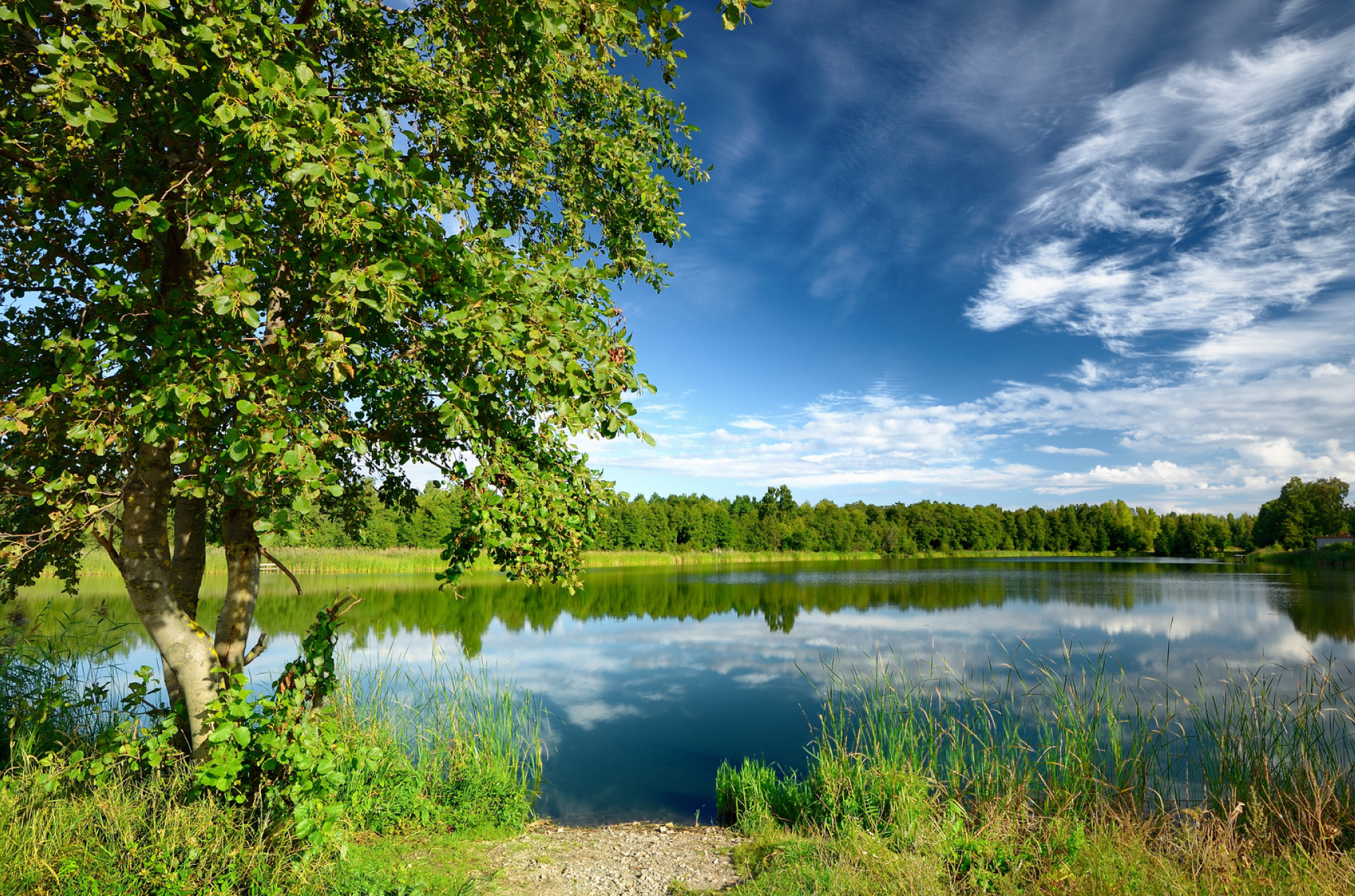 Cities We Service Digital Marketing for East Bethel, MN