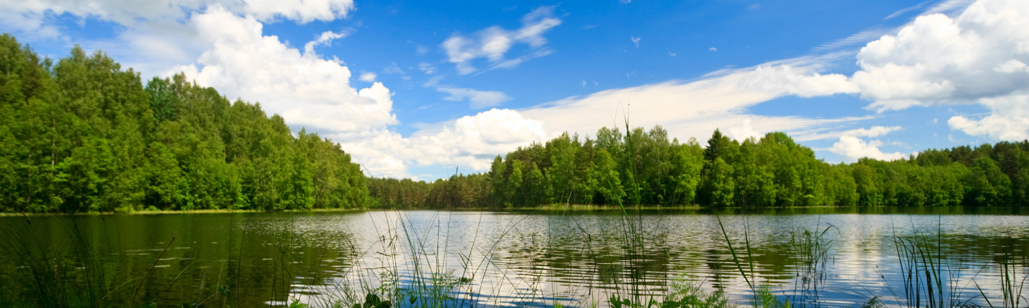 Cities We Service Digital Marketing for Ham Lake, MN