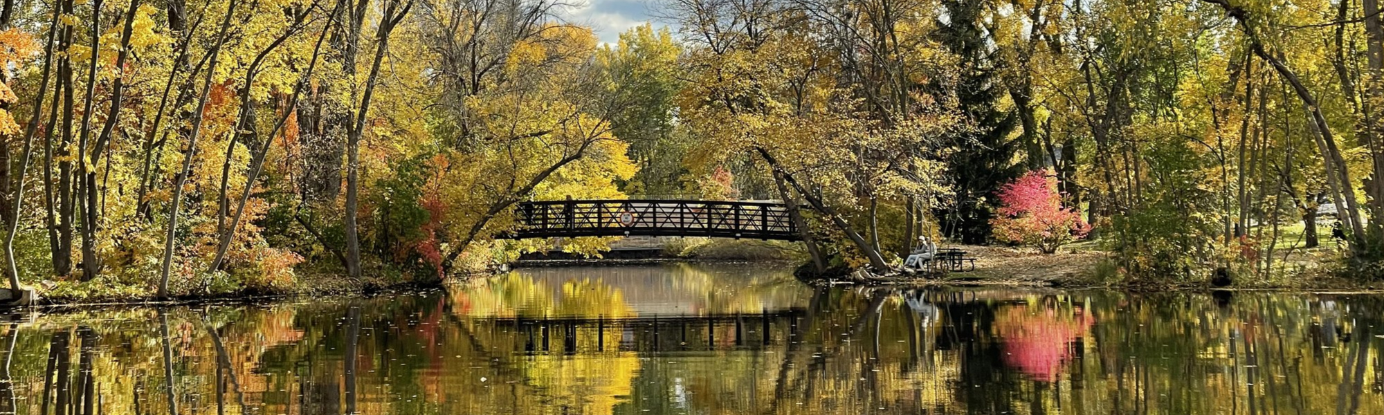 Cities We Service Digital Marketing for Maple Grove, MN