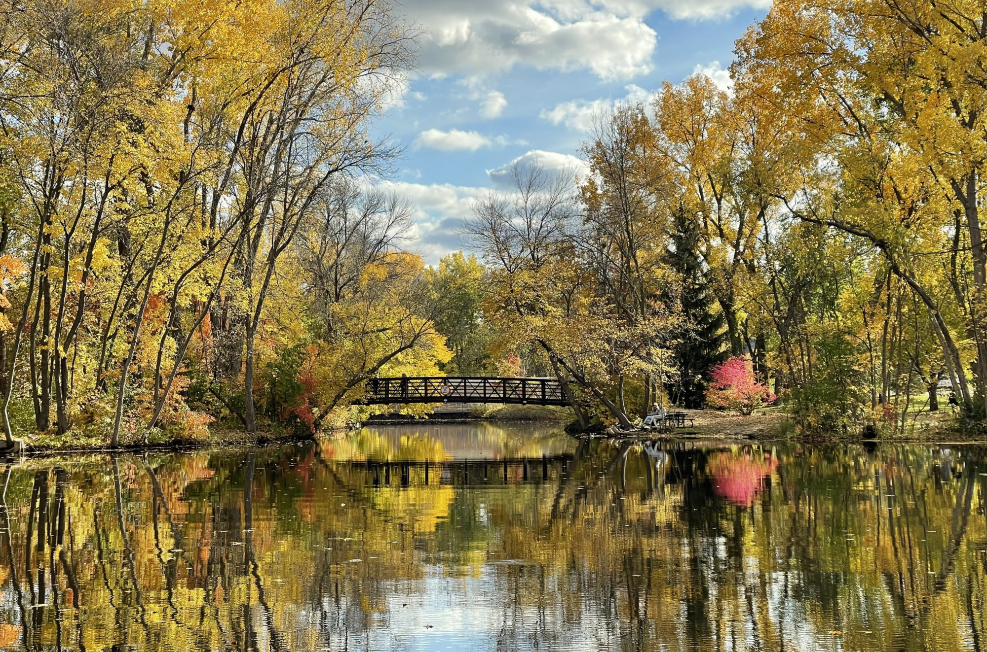 Cities We Service Digital Marketing for Maple Grove, MN