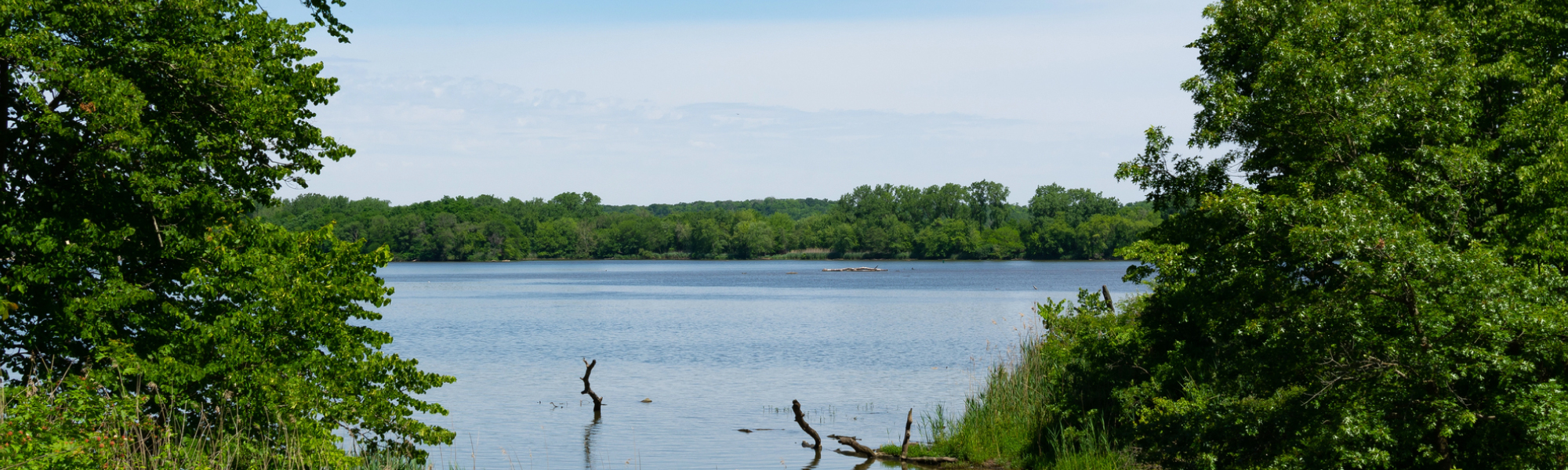 Cities We Service Digital Marketing for Oak Grove, MN