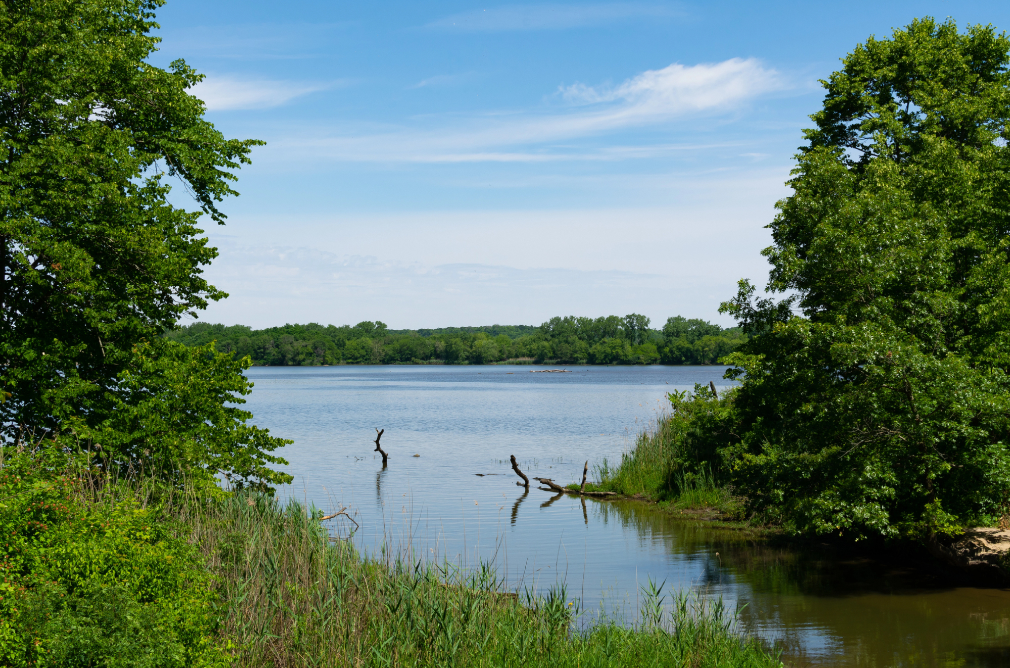 Cities We Service Digital Marketing for Oak Grove, MN