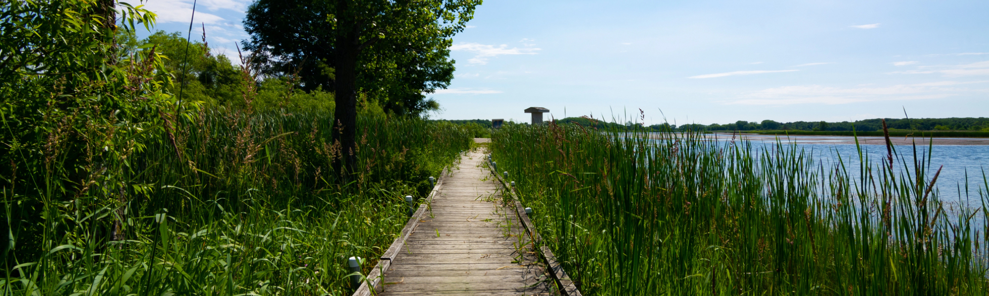 Cities We Service Digital Marketing for Ramsey, MN