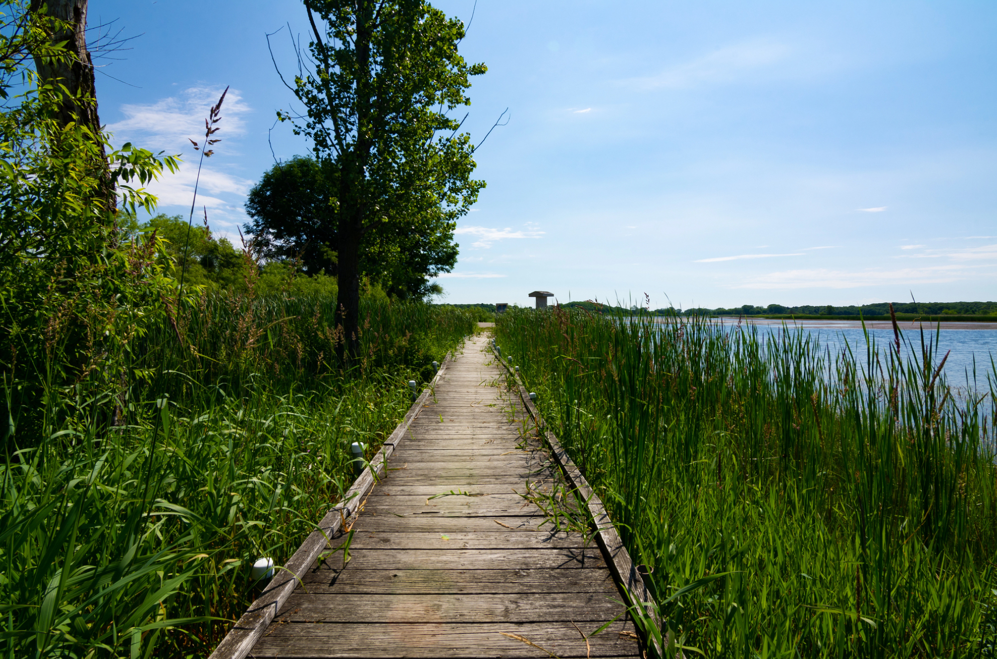 Cities We Service Digital Marketing for Ramsey, MN