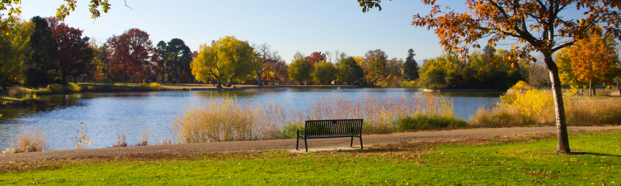 Cities We Service Digital Marketing for Spring Lake Park, MN