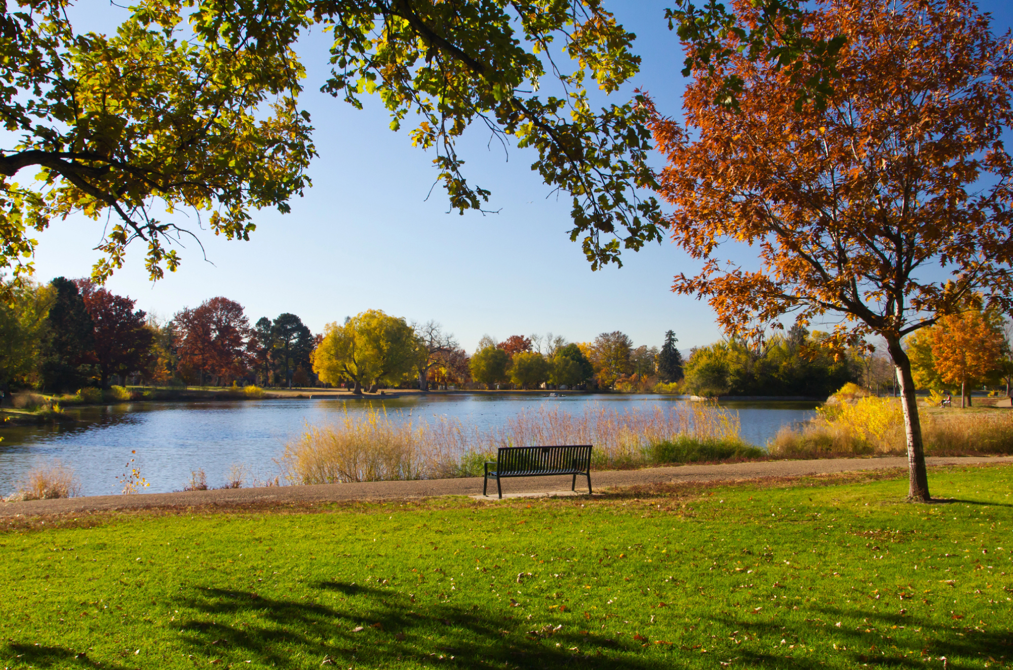 Cities We Service Digital Marketing for Spring Lake Park, MN